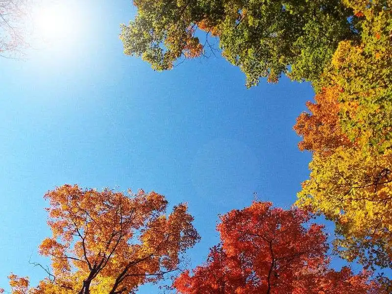 caldo in autunno