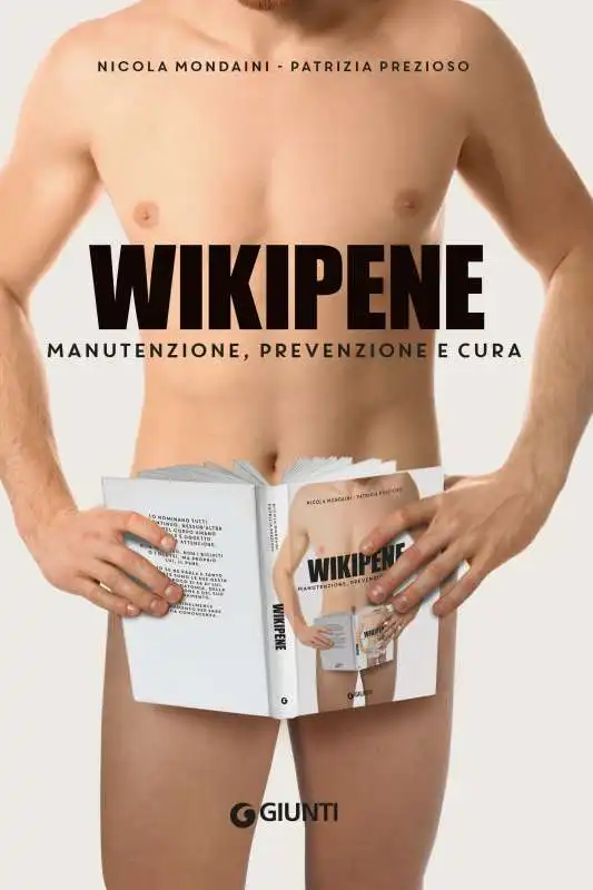 cover wikipene