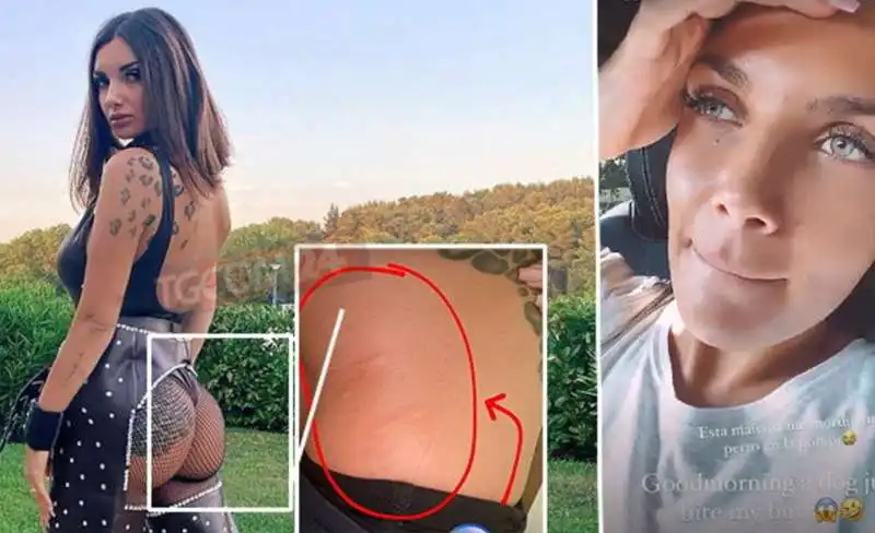 elettra lamborghini morsa alle chiappe da un cane 8