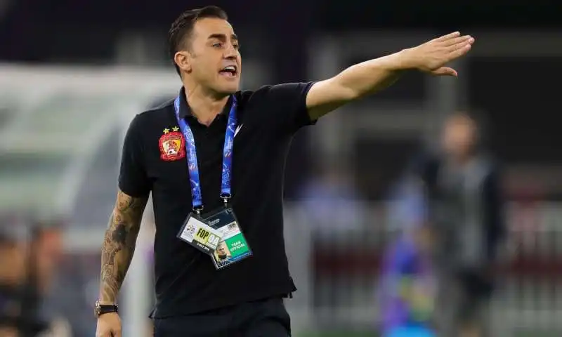 fabio cannavaro 5