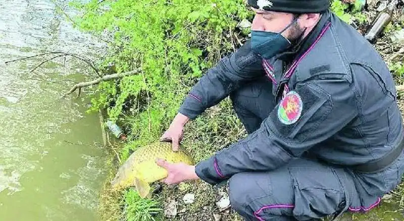 INCHIESTA GOLD RIVER CONTRO I PESCATORI DI FRODO