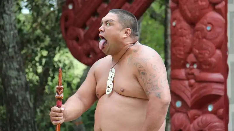 Maori Nuova Zelanda 4