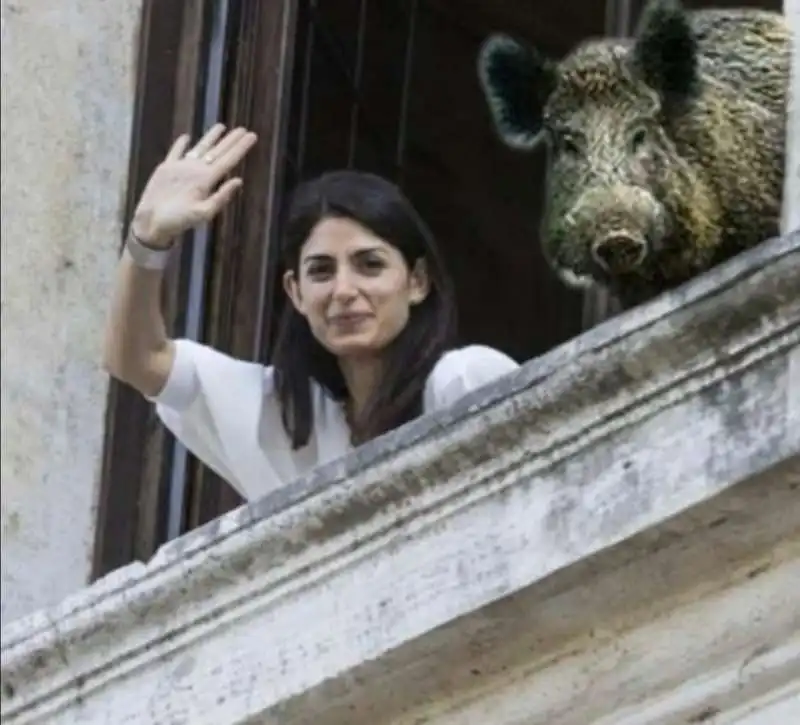 MEME - VIRGINIA RAGGI E IL CINGHIALE