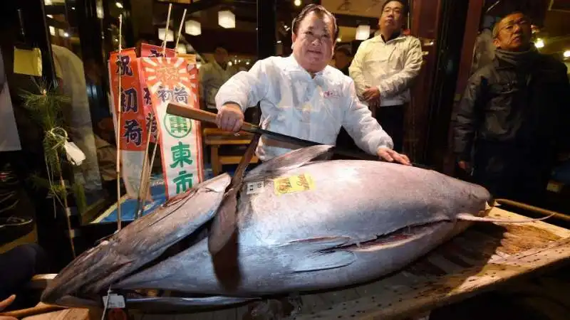 tonno tsukiji 3