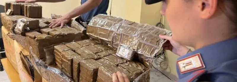 231 chili di hashish sequestrati a napoli 