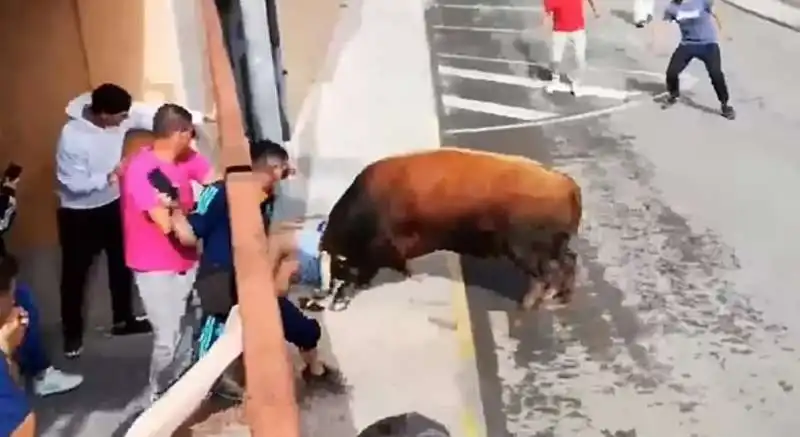 attacco toro in spagna 4