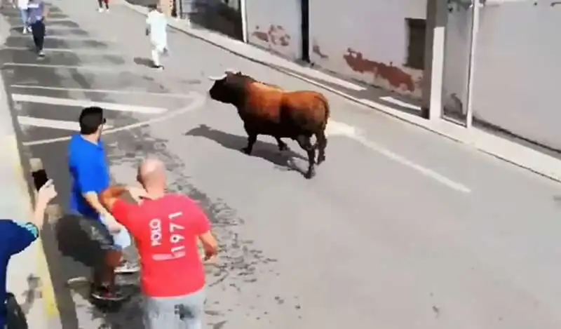 attacco toro in spagna 6