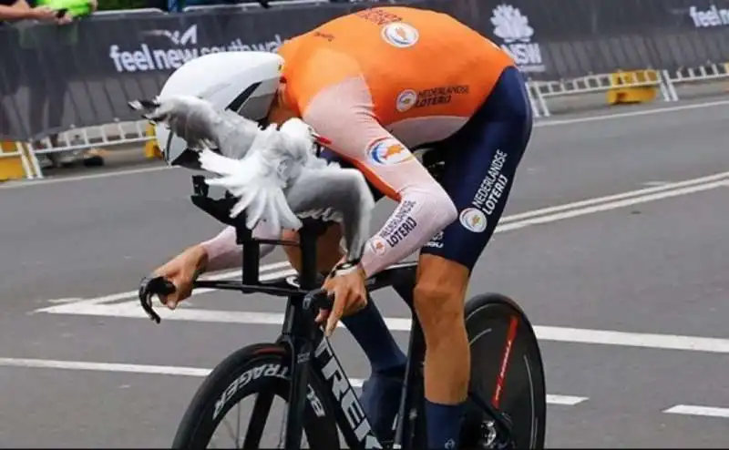 bauke mollema 1