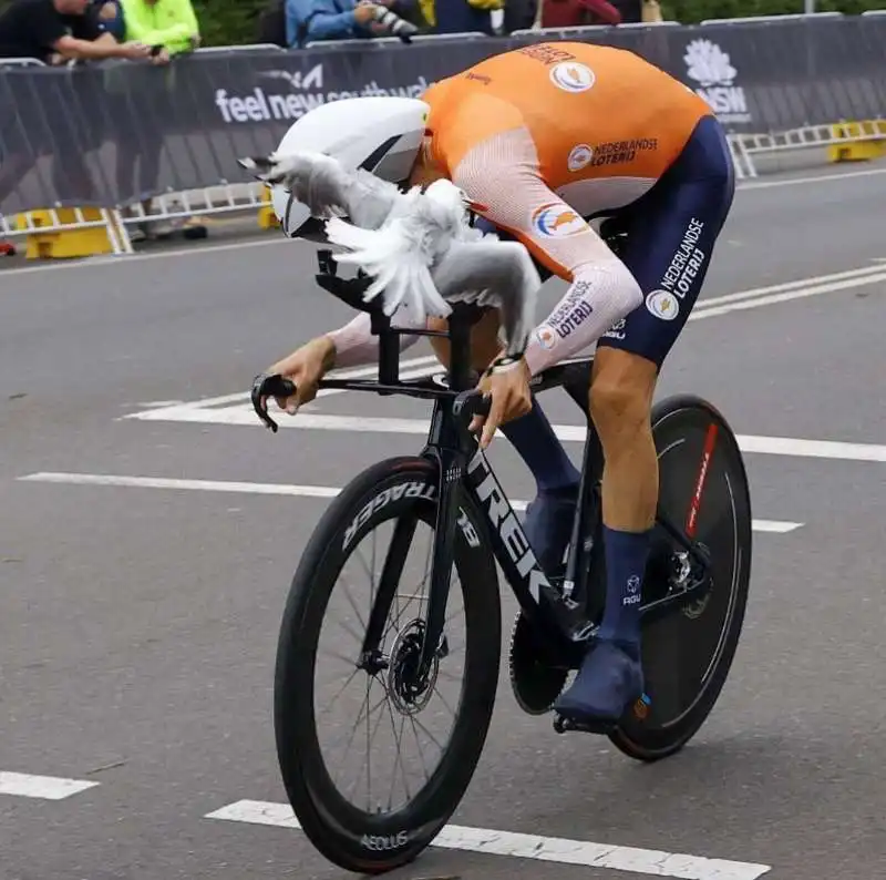 bauke mollema 8