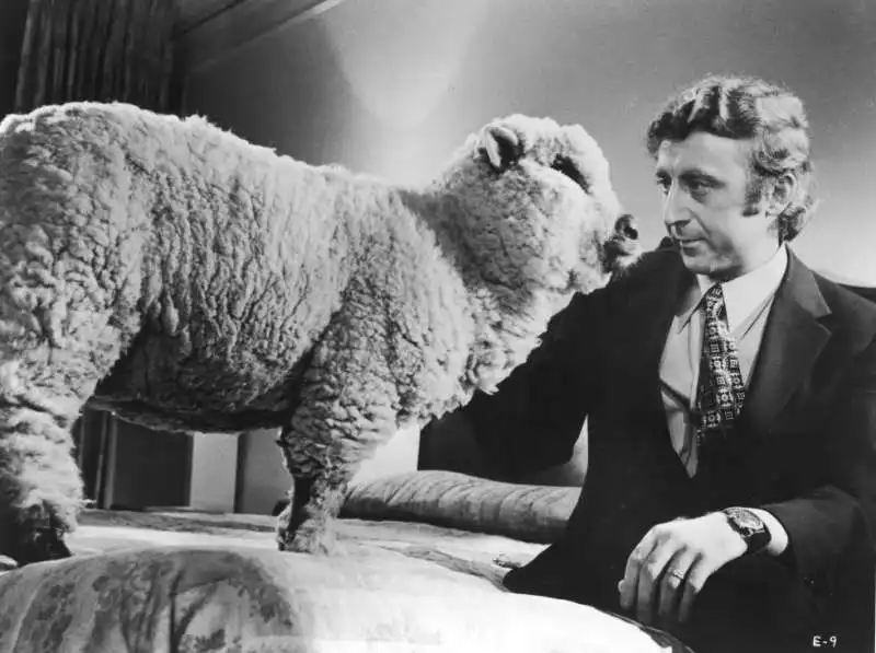 gene wilder in tutto quello che... (2)