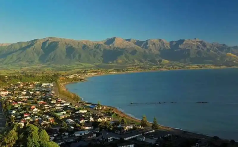 GOOSSE BAY KAIKURA - NUOVA ZELANDA