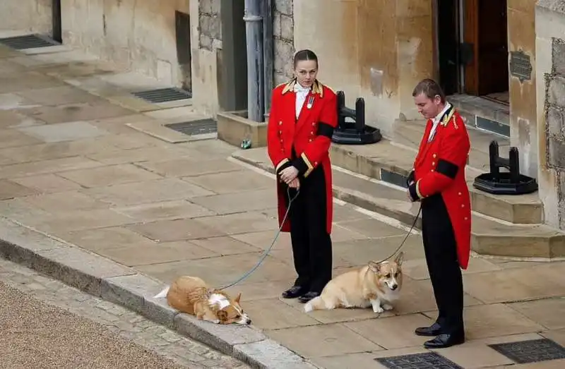 i corgi della regina elisabetta 2