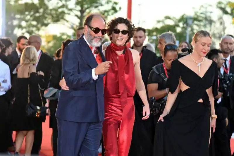 luca guadagnino timothee chalamet  