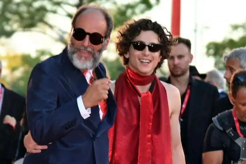 luca guadagnino timothee chalamet 