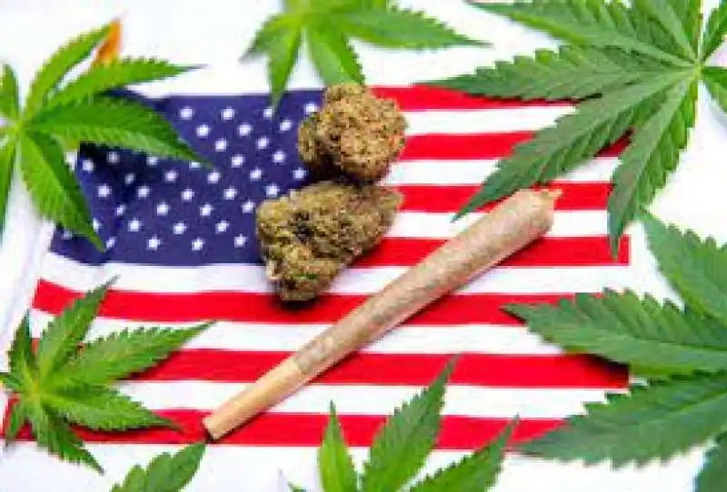 marijuana usa 