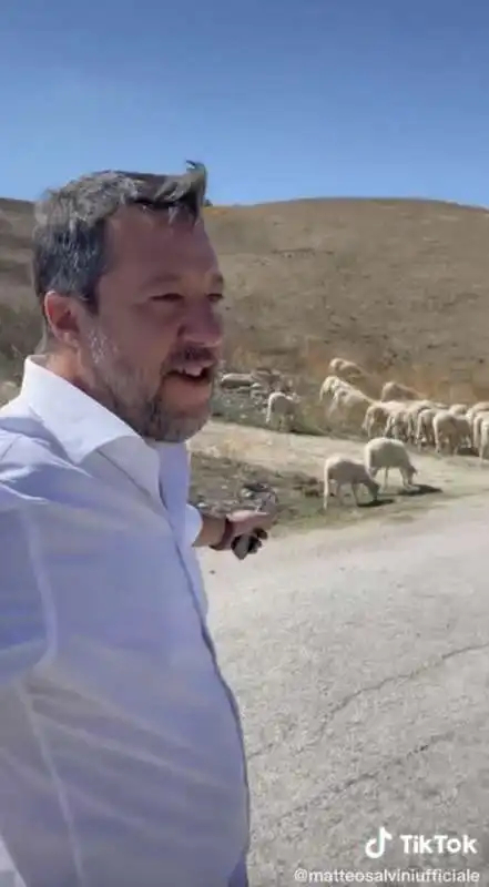 matteo salvini tiktok