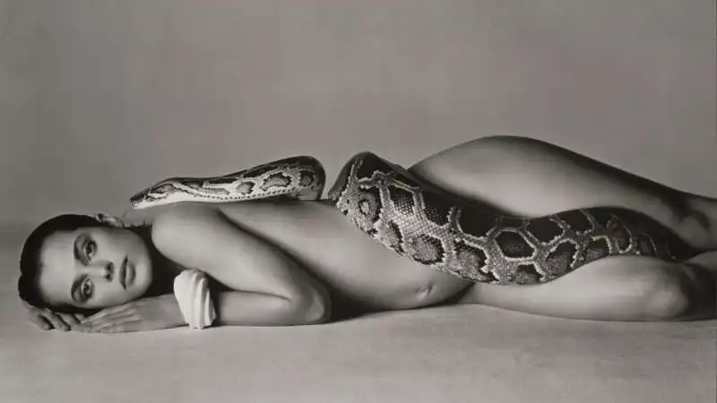 richard avedon relationships 1