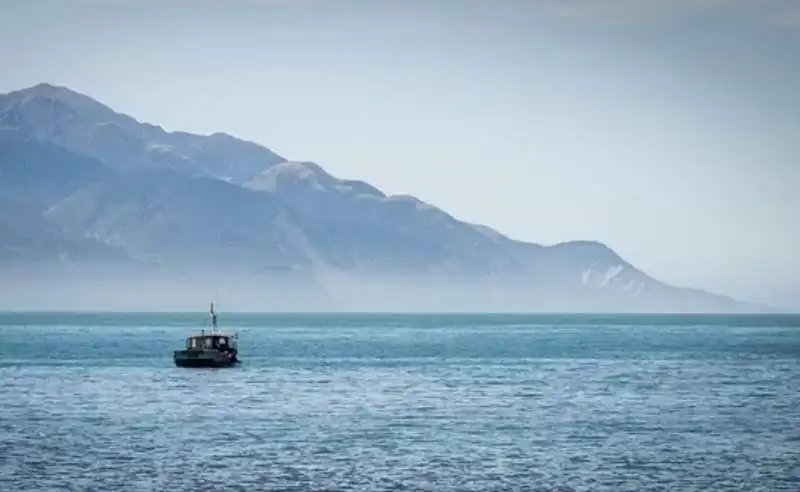 SOCCORSI DOPO LO SCONTRO TRA UNA BARCA E UNA BALENA IN NUOVA ZELANDA 