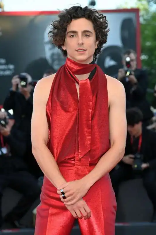 timothee chalamet   3