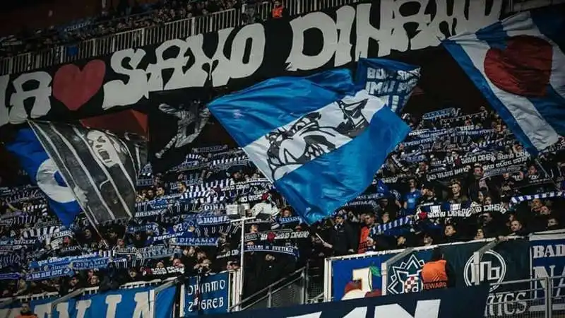 ultras dinamo zagabria 