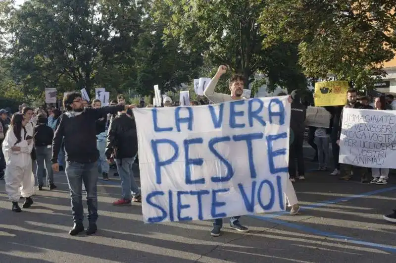 animalisti in presidio a pavia dopo l abbattimento dei maiali per la peste suina   12