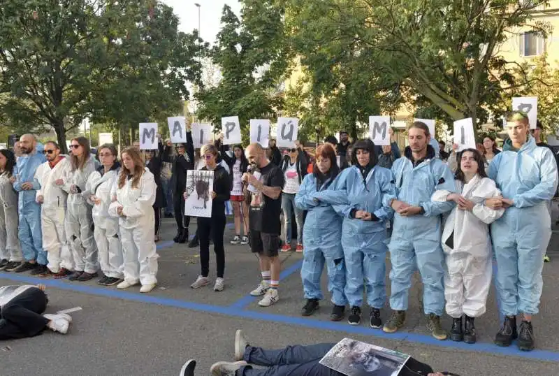 animalisti in presidio a pavia dopo l abbattimento dei maiali per la peste suina   1