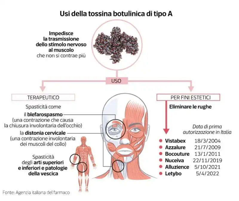 botulino e botox   dataroom