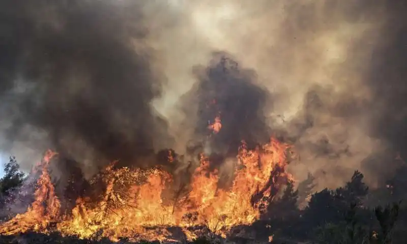 incendi sicilia 2