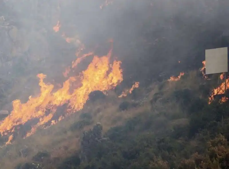 incendi sicilia 5