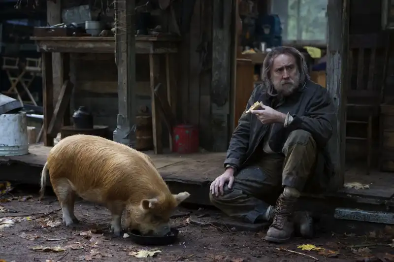  nicolas cage pig