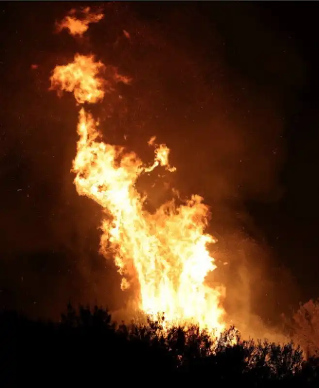 palermo   incendio