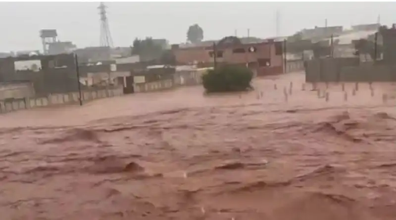 TEMPESTA DANIEL IN LIBIA