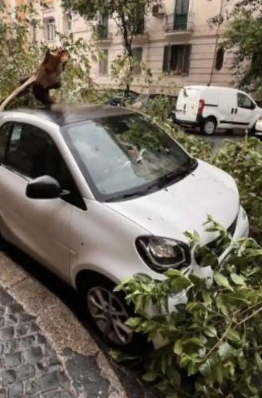 bomba d'acqua su roma   7