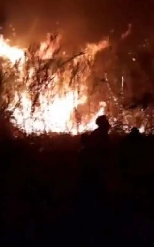 incendio stromboli 1