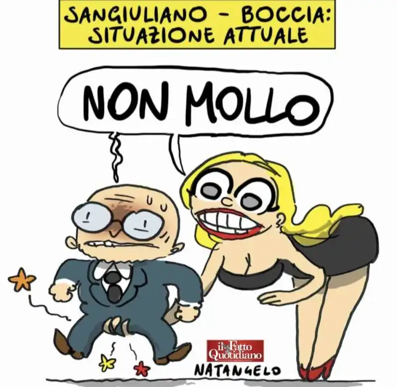 MARIA ROSARIA BOCCIA E GENNARO SANGIULIANO - VIGNETTA BY NATANGELO 