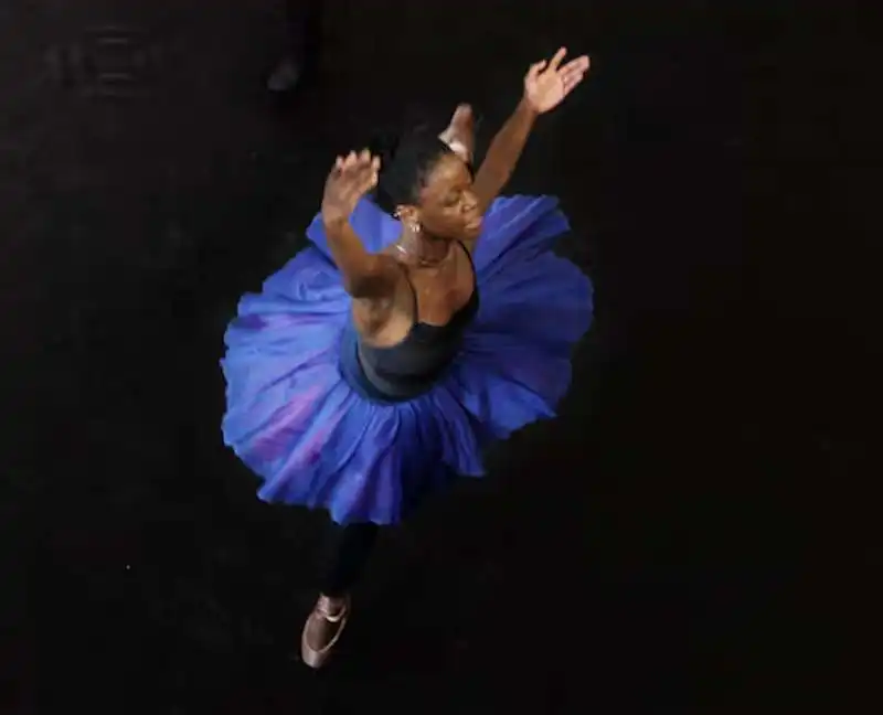 michaela deprince  8