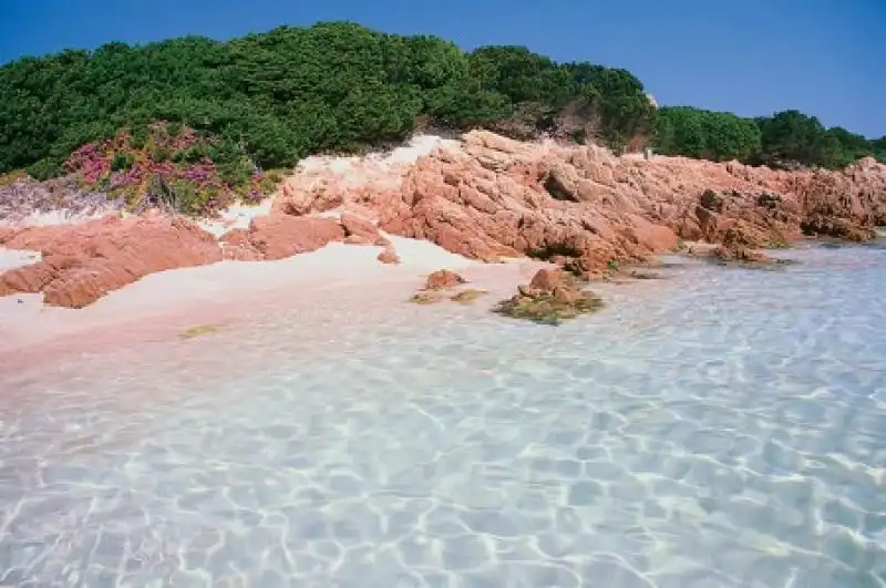 budelli spiaggia rosa 