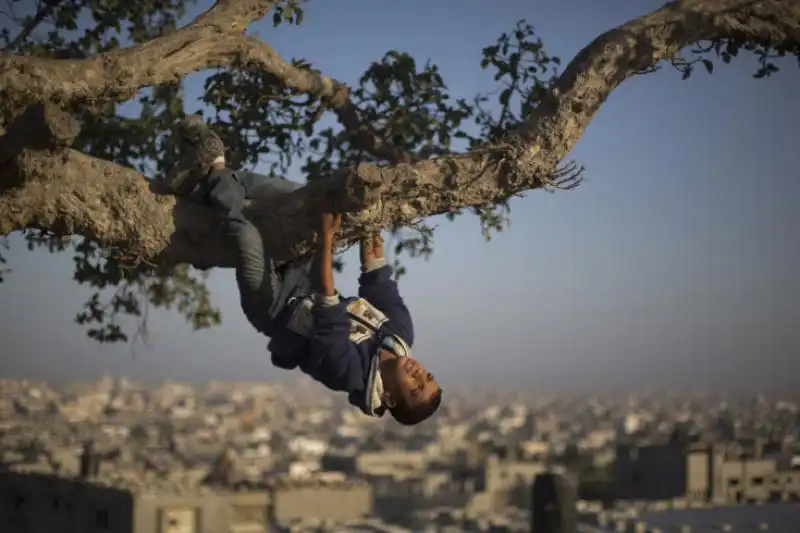 Un giovane palestinese appeso a un albero a Gaza 