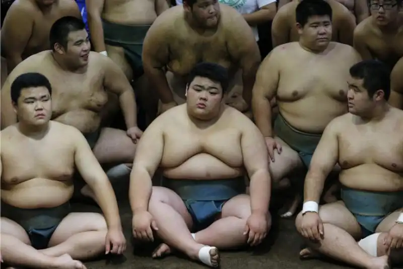 Lottatori di sumo a Saitama in Giappone 