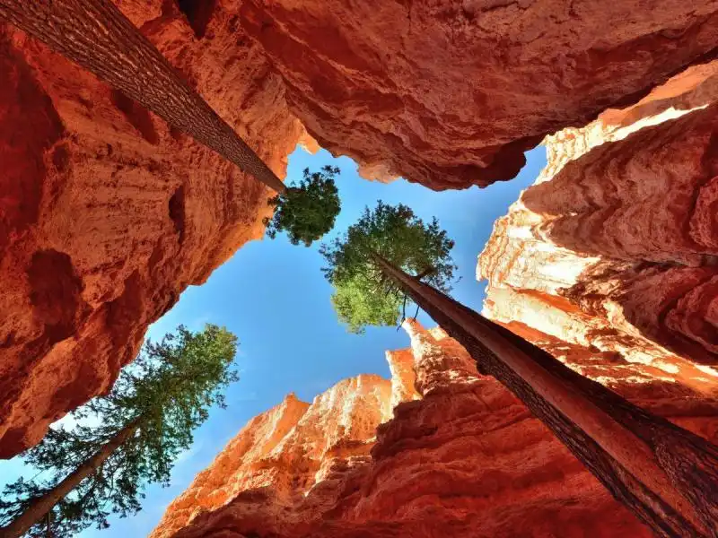 bryce canyon national park utah 