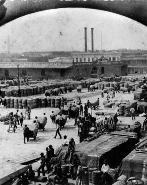 cotton shipment at a new orleans dock s 