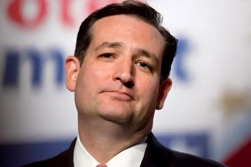 ted cruz 