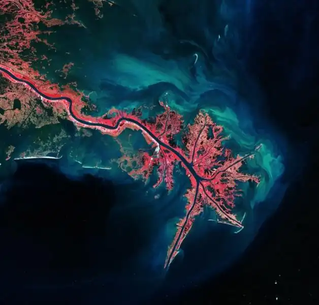 IL DELTA DEL FIUME MISSISSIPPI NEL GOLFO DEL MESSICO 