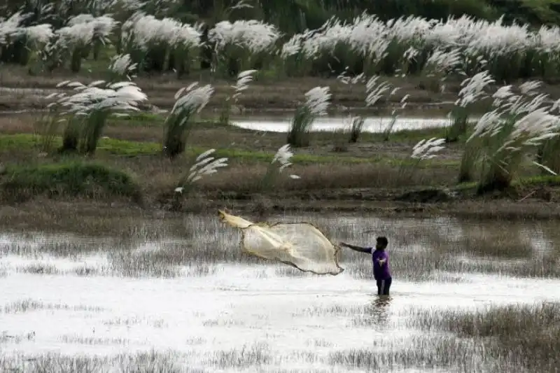 IMMAGINI DELLA SETTIMANA DAL AL SETTEMBRE DAL TIME PESCATORE NEL FIUME KUAKHAI A BHUBANESWAR IN INDIA 