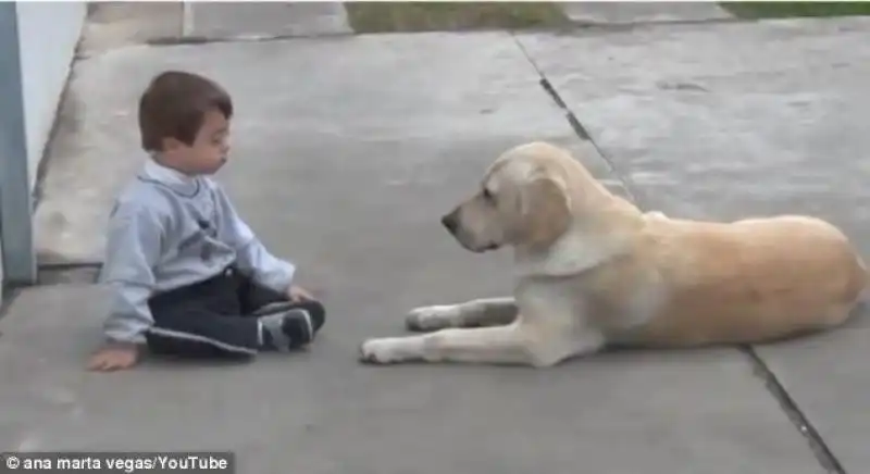 LABRADOR COCCOLA BAMBINO CON SINDROME DI DOWN 