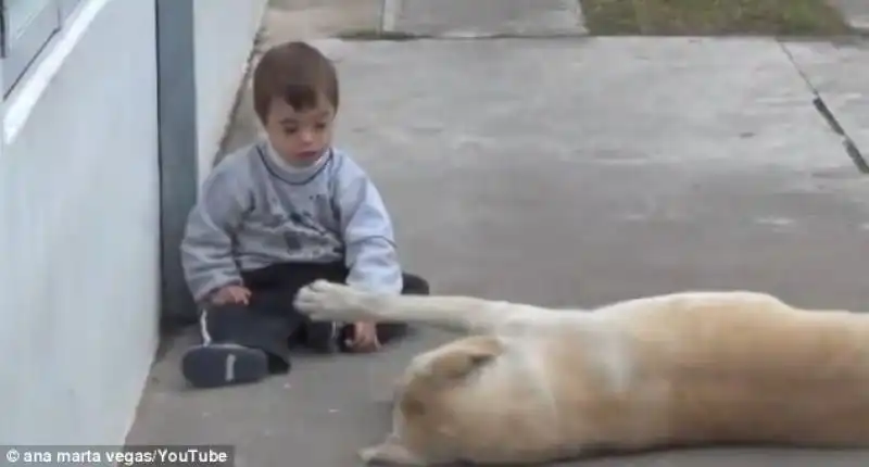 LABRADOR COCCOLA BAMBINO CON SINDROME DI DOWN 