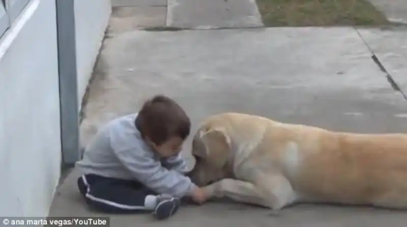 LABRADOR COCCOLA BAMBINO CON SINDROME DI DOWN 