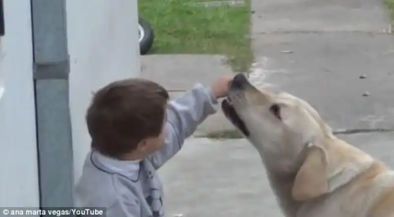 LABRADOR COCCOLA BAMBINO CON SINDROME DI DOWN 