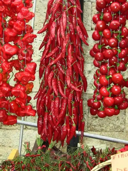 peperoncino 