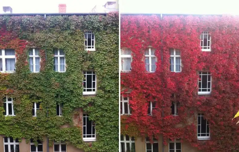 apartment building facade1